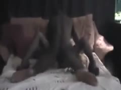 My white milf married slut is being screwed by a restless dark stud.